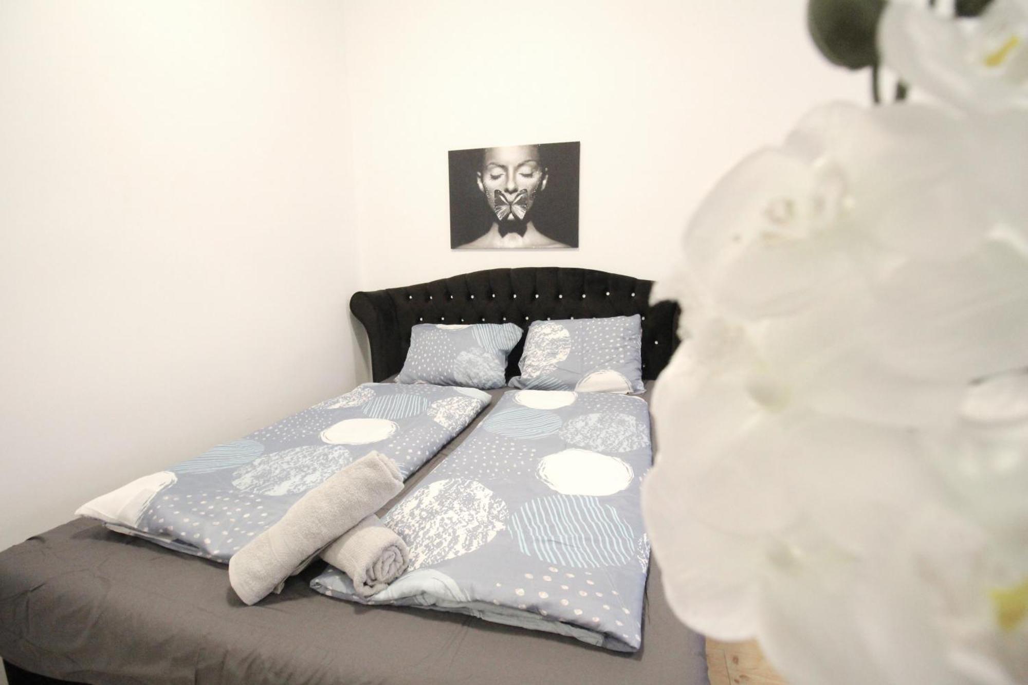 Comfort Apartment Hg Wien Eksteriør billede